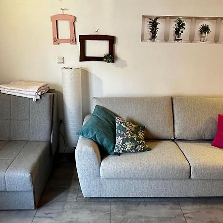 Lara Deluxe Superior 5 Star Apartment, Your Piece Of Heaven By The Sea & Park Novigrad  Zewnętrze zdjęcie