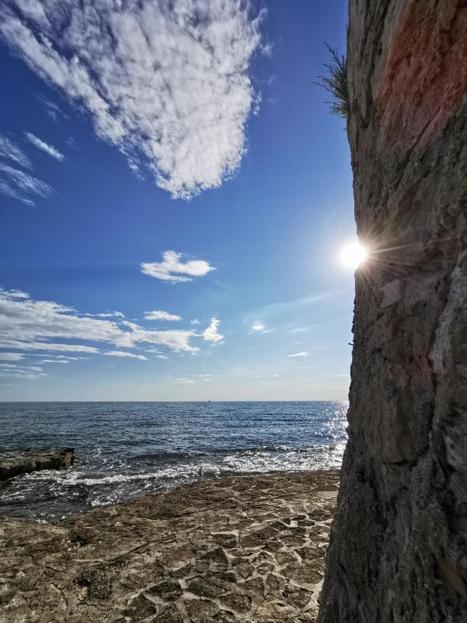 Lara Deluxe Superior 5 Star Apartment, Your Piece Of Heaven By The Sea & Park Novigrad  Zewnętrze zdjęcie